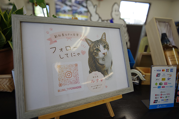 タイヤ展示